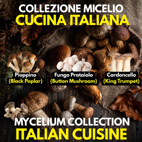 Colture liquide funghi - 3,