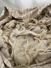 Pura lana di pecora 16 kg