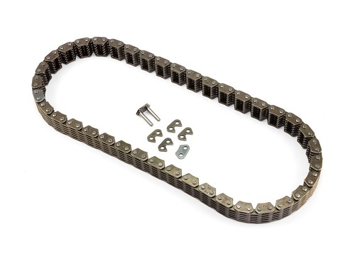 Catena distribuzione motore