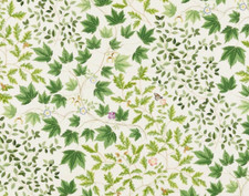 TESSUTO TENDA SANDERSON