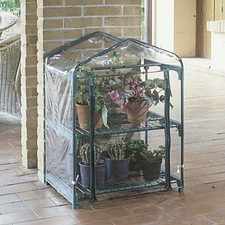 SERRA PER GIARDINO AZALEA 2