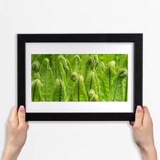 30x20 Cornice di legno MDF con