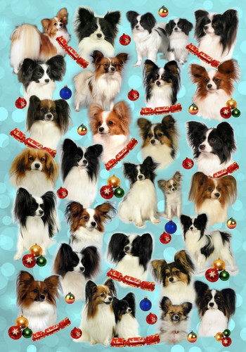 Carta natalizia papillon cane - papillon, (cane