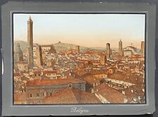 Stampa antica 1891 palmiro