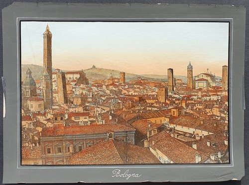 Stampa antica 1891 palmiro