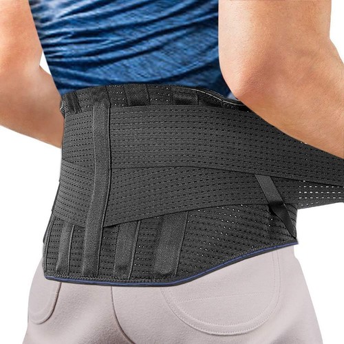 Fascia elastica lombare - fascia,