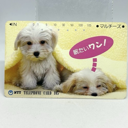 Scheda telefonica cane