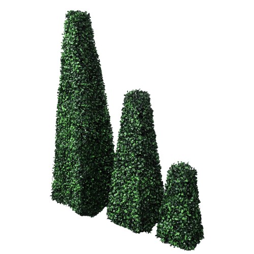 Set 3pz piramide bosso pianta - set,