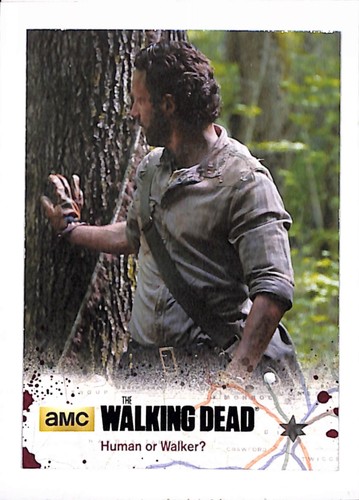 The walking dead - dead, stagione