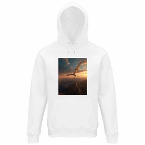 Felpa unisex cappuccio - felpa,