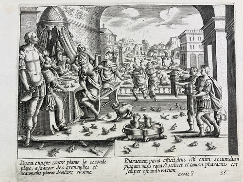 Egitto rana ebraica 1683 - rana,