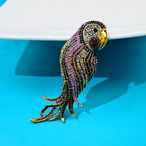 Spille pappagallo strass per