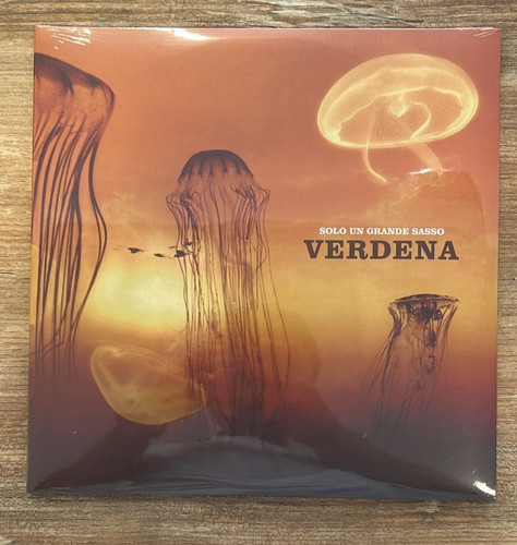 Verdena solo grande sasso - solo,