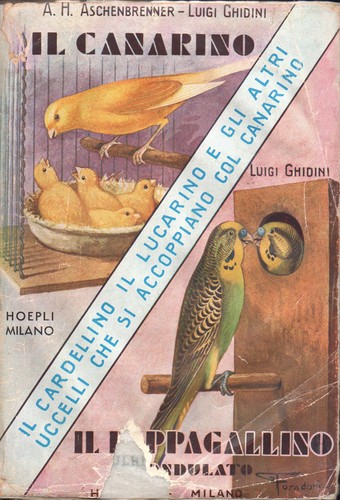 Aschenbrenner ghidini il - aschenbrenner,