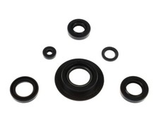 Anelli di tenuta motore set 6
