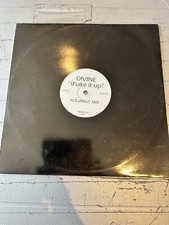DIVINE - Shake It Up ‘ Aquarius Mixes 12" Promo EX VINYL EX AUDIO : HOUSE  DANCE