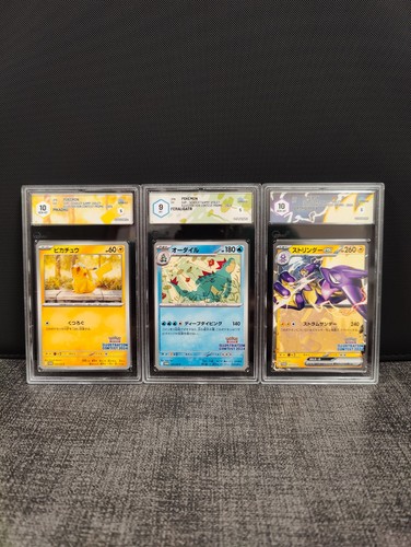 Pokémon tcg illustration - pokémon,
