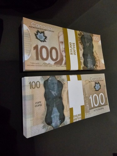 100 300 pezzi canadesi - 100,