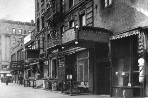 The cotton club harlem - the,