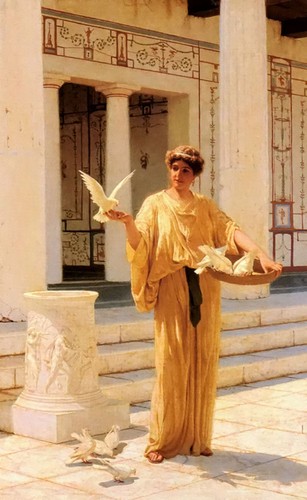 Dipinto olio bella giovane