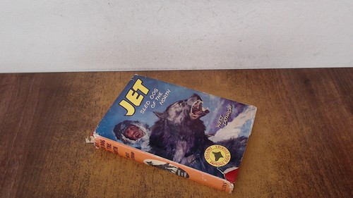 Jet sled dog - jet, north
