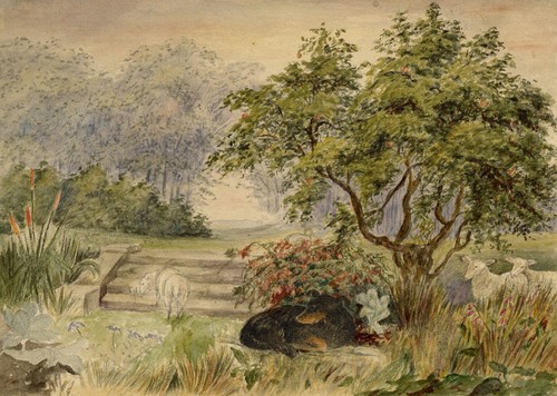 Dipinto acquerello giardino