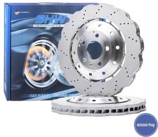 2 DISCHI FRENO ORIGINALI SHW