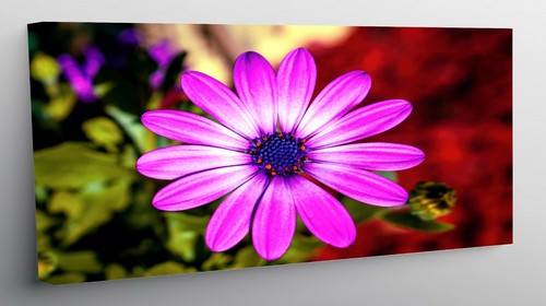Quadro moderno stampa - quadro, su