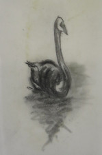 DISEGNO SU CARTA DA LUCIDO CON STUDIO PER ANIMALI CIGNO UCCELLI BOZZETTO DR4