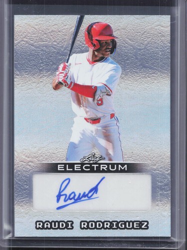 2026 leaf electrum - 2026,