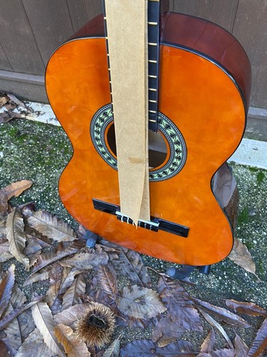 Chitarra classica pro - chitarra,