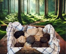 3 Tartufi addestramento cani gioco pallina ovetto NUOVO in PLA+