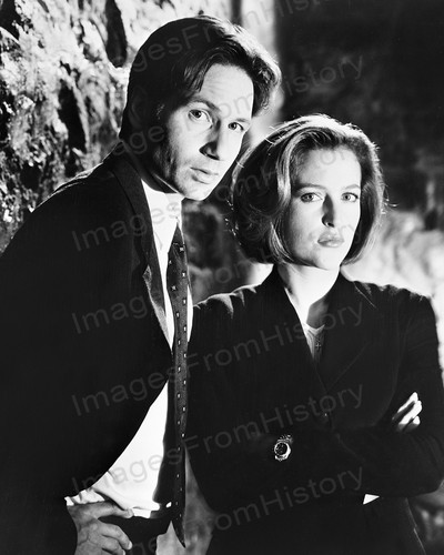Stampa 8x10 david duchovny - david,
