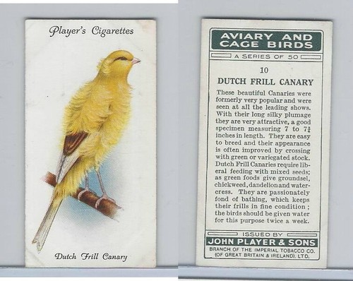 P72 giocatore aviary - p72-66, &