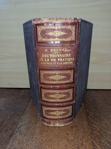 Libro antico beleze dizionario - libro, antico-beleze-dizionario
