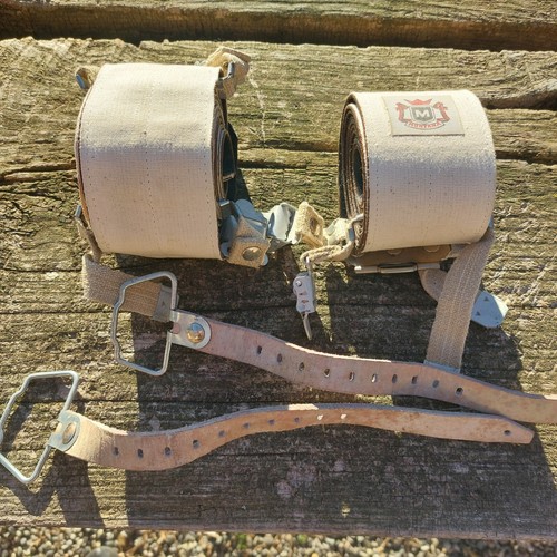 Pelli foca montana vintage - montana,