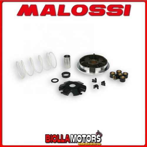 5111561 variatore malossi - variatore,