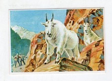 Figurina vera storia del - la,
