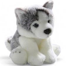 Carl Dick Husky Cane cucciolo