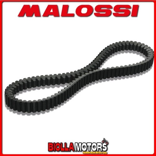 6119157 cinghia malossi - 6119157,