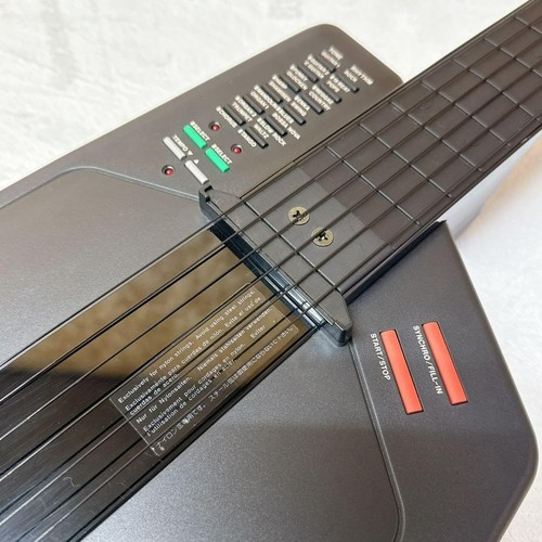 Chitarra digitale casio 1 - casio, dg-1