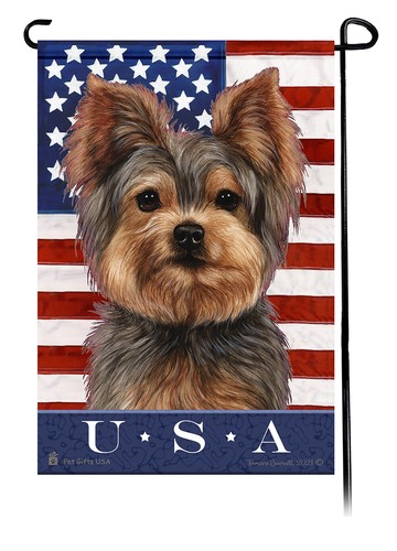 Yorkshire terrier vera - yorkshire,