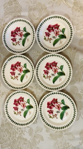 Pormeirion exotic botanic - 6x,