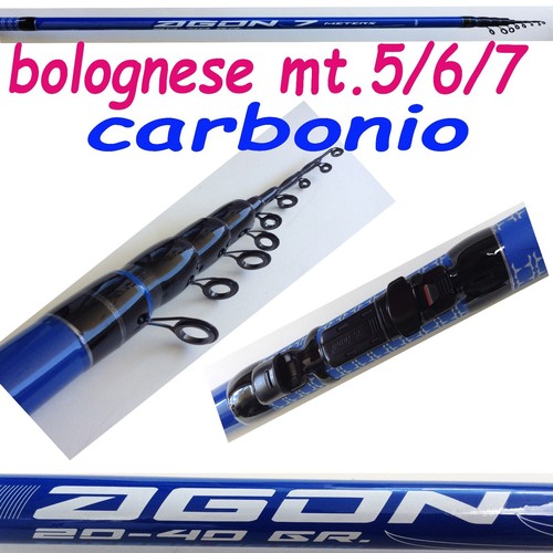 Canna pesca bolognese in - canna,