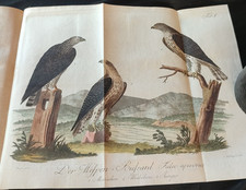 Joh. Matth. Bechstein, 1701