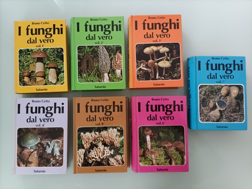 Funghi dal vero - dal, opera