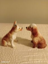 Cane Cocker Spaniel E Basenij Vintage