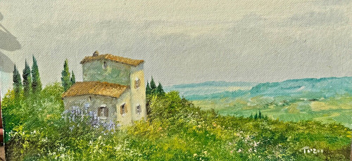 Luciano torsi 20x40 olio su - torsi,