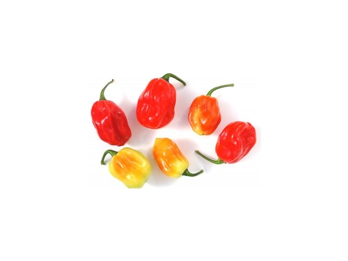 Semi peperoncino habanero - 25,