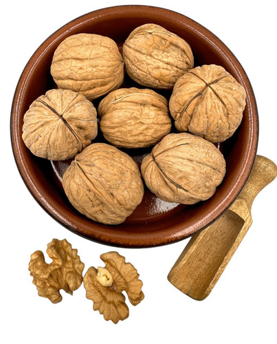 Noccioli noci - noccioli,